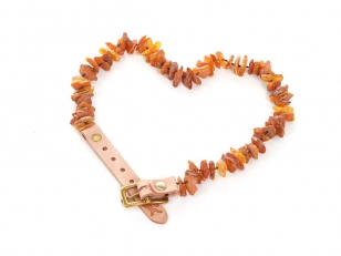 Bernstein Hundehalsband<br>
