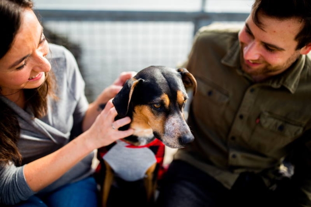 Mann und Frau mit Hund<br>