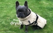 Dryup Mops