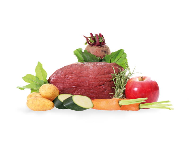 Ftterung im Vergleich - Nassfutter, Trockenfutter, Barf | Hundeshop.de