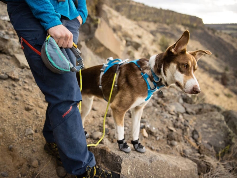 Hand an der Leine Ruffwear