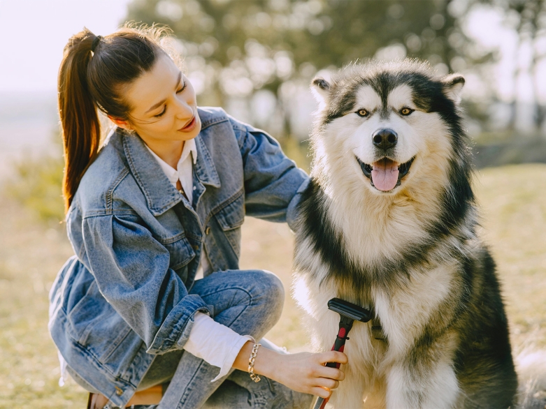 Frau kämmt ihren Hund