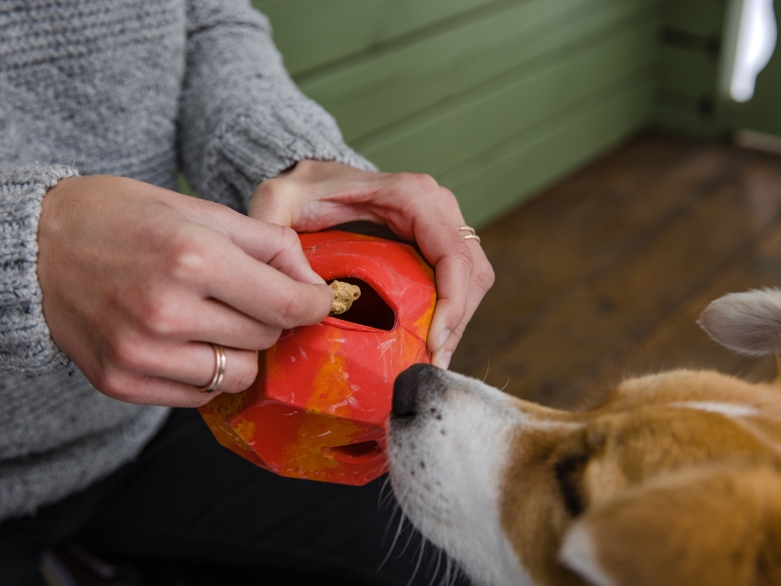 Hund mit Leckerlie Ball<br>