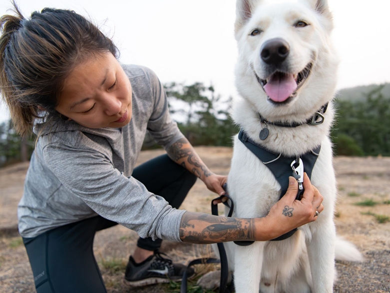 Frau leint ihren Hund an<br>