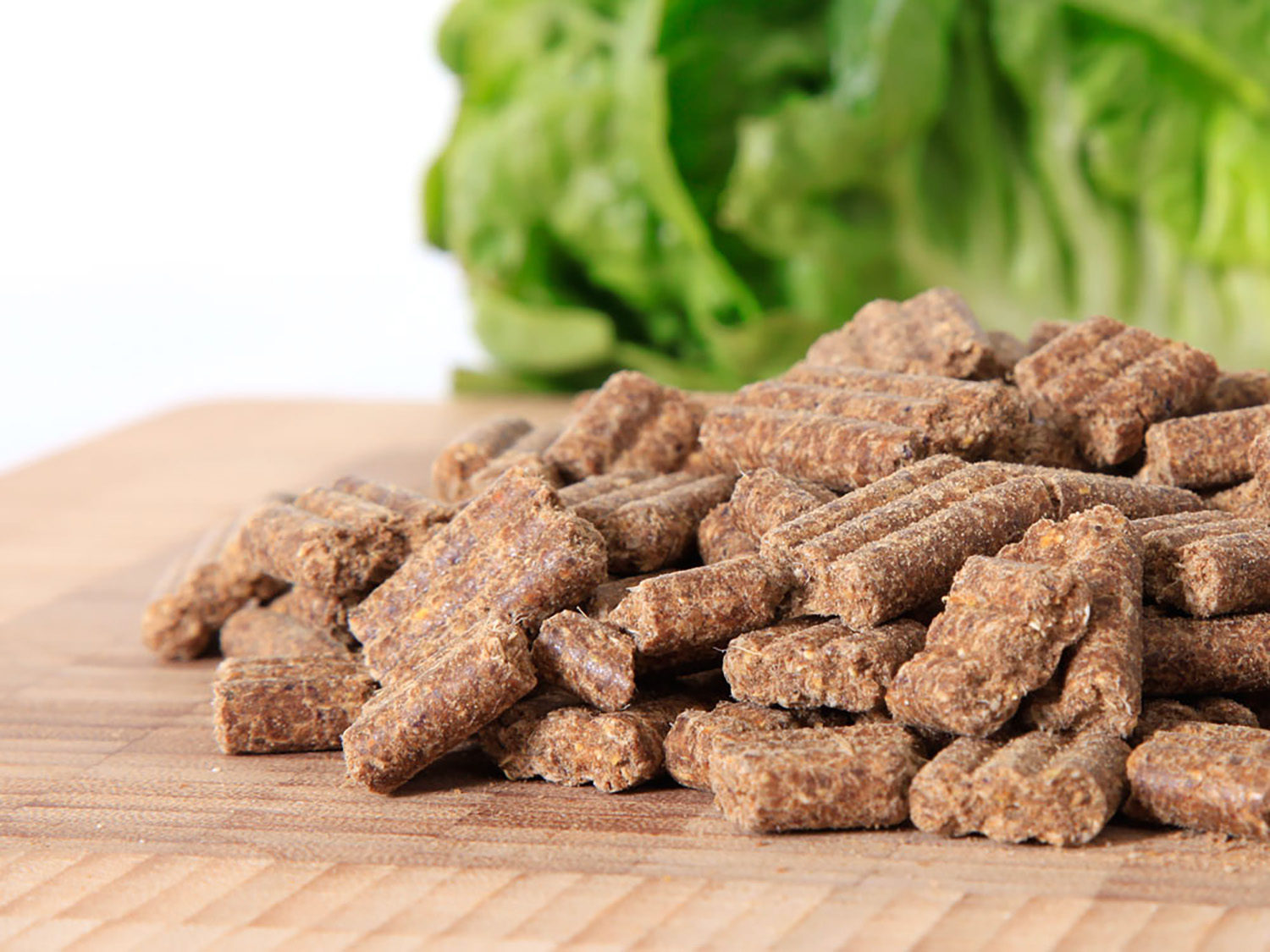 das gesunde tier hundefutter INTESTO MINI Getreidefreies Spezialfutter - Das Gesunde Tier - 1kg – Good  Dog Stuff