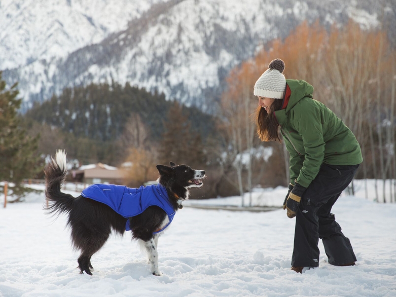 Hund und Frau im Schnee<br>