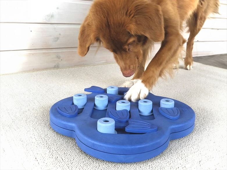 Hund mit Spielzeug Nina Ottosson<br>