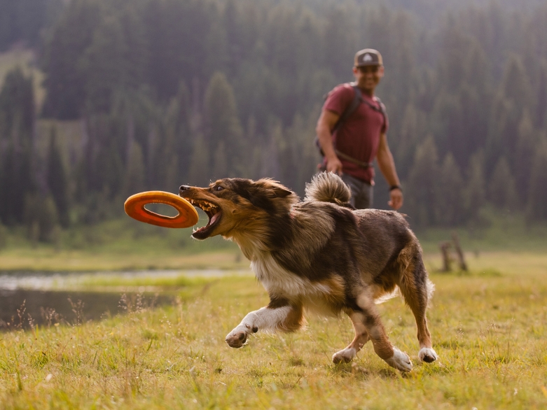 Hund mit Ruffwear Wurfspielzeug<br>