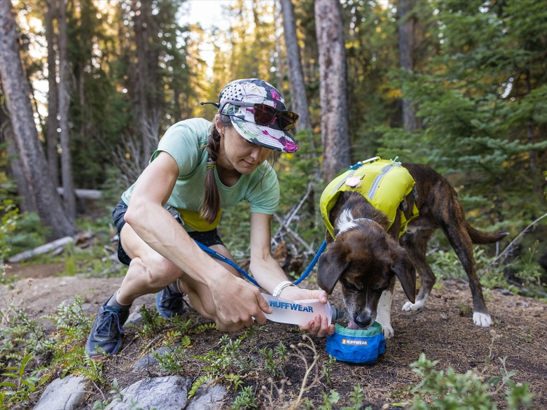 Frau mit Hund unterwegs<br>