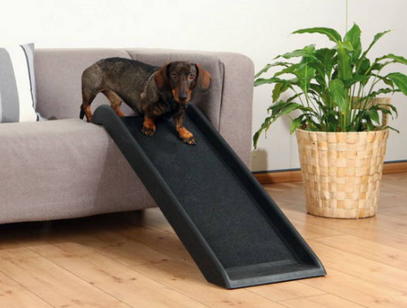 Die Hunderampe - Gelenkschonend Ein- und Aussteigen | Hundeshop.de