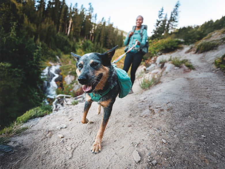 Ruffwear Hunderucksack Front Range