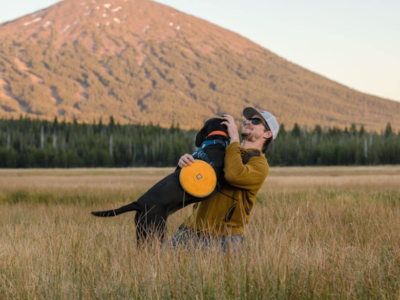 Frisbee mit Hund