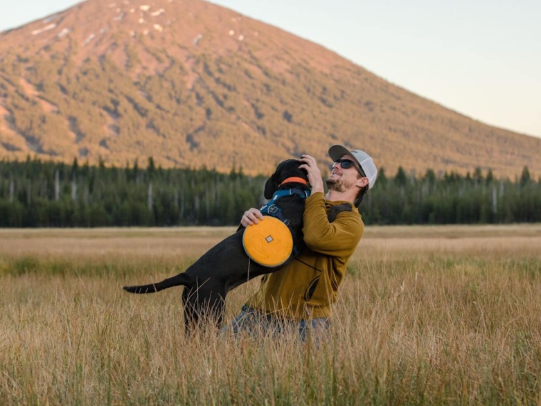 Frisbee mit Hund<br>