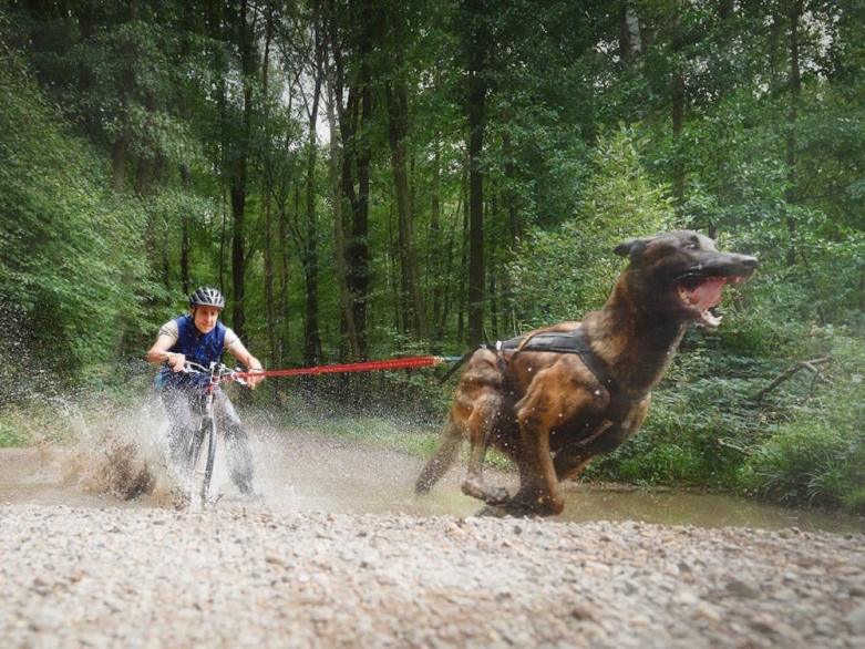 Bike Joring, Foto Owney<br>