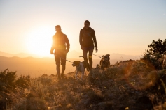 Wandern mit Hund bei Sonnenuntergang