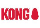 Kong Logo