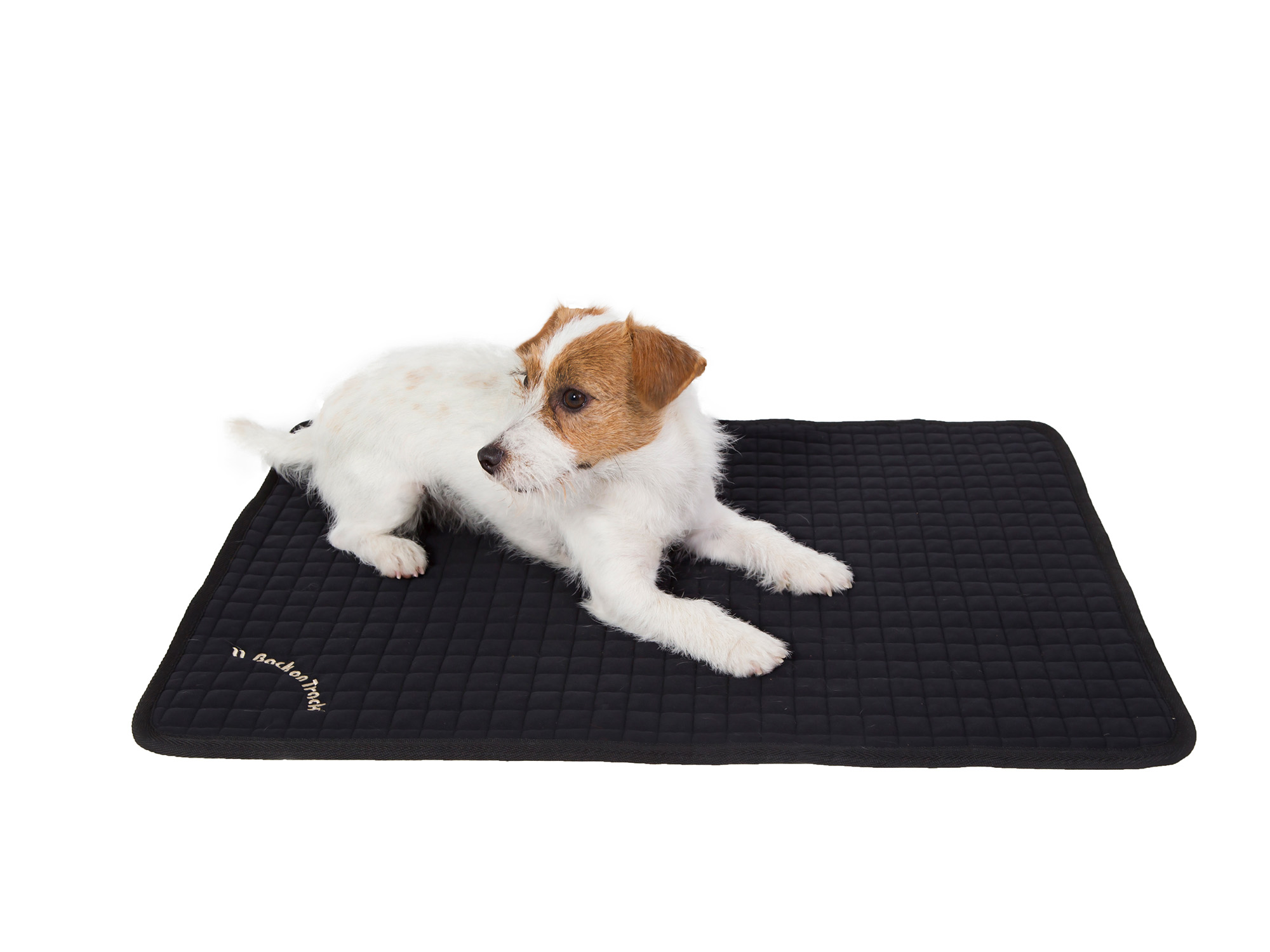 Back on Track Hundematratze Allround 120 x 74 cm Back on Track Hundematratze Allround 120 x 74 cm