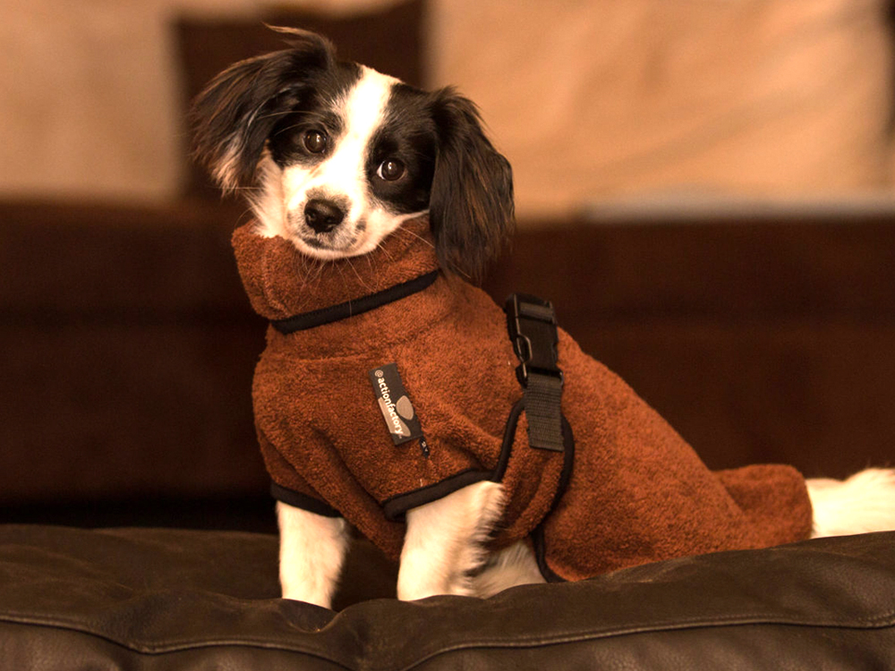 Dryup Cape Hundebademantel Mini braun 45 cm Dryup Cape Hundebademantel Mini braun 45 cm