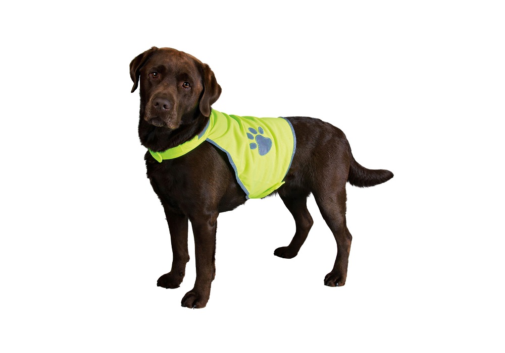 Sicherheitsweste für Hunde -2- Sicherheitsweste für Hunde -2-