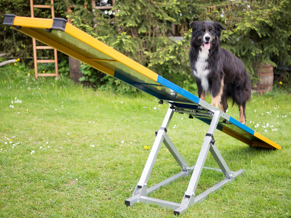 Hunde Profi Agility Turnier Wippe FCI konform Hunde Profi Agility Turnier Wippe FCI konform