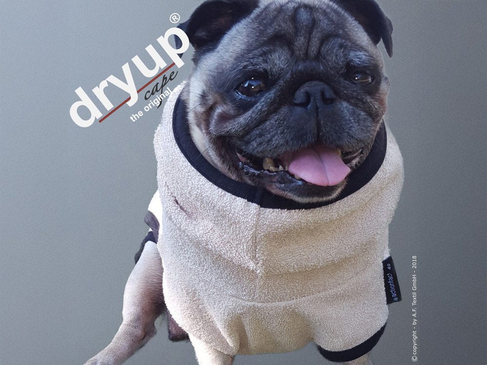 Dryup Cape Hundebademantel Mops spezial sand 35 cm Dryup Cape Hundebademantel Mops spezial sand 35 cm