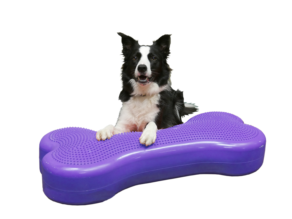 FitPAWS® Giant K9 FITbone™ türkis FitPAWS® Giant K9 FITbone™ türkis