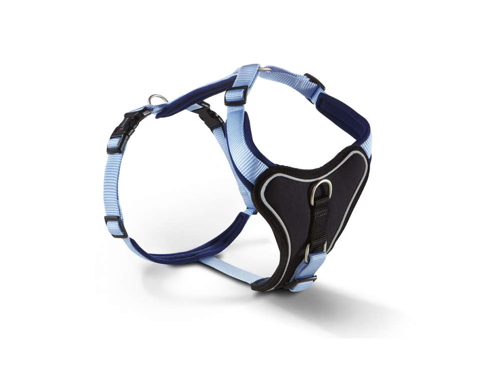 Wolters Hundegeschirr Professional Comfort skyblue/marineblau 35 – 40 cm