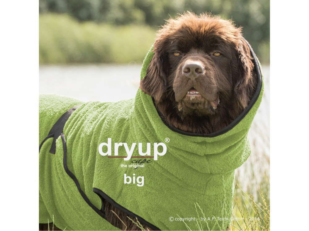 Dryup Cape Hundebademantel BIG kiwi 2XL (79 cm)