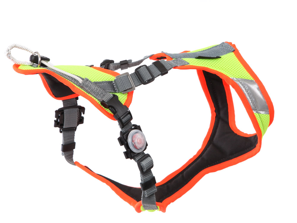 Original Grossenbacher Mantrailing V Hundegeschirr mit Laufrolle Neon LED S Original Grossenbacher Mantrailing V Hundegeschirr mit Laufrolle Neon LED S