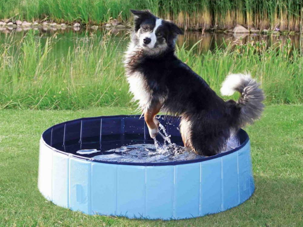 Hundepool Plantschbecken für Hunde Ø 120 cm Hundepool Plantschbecken für Hunde Ø 120 cm