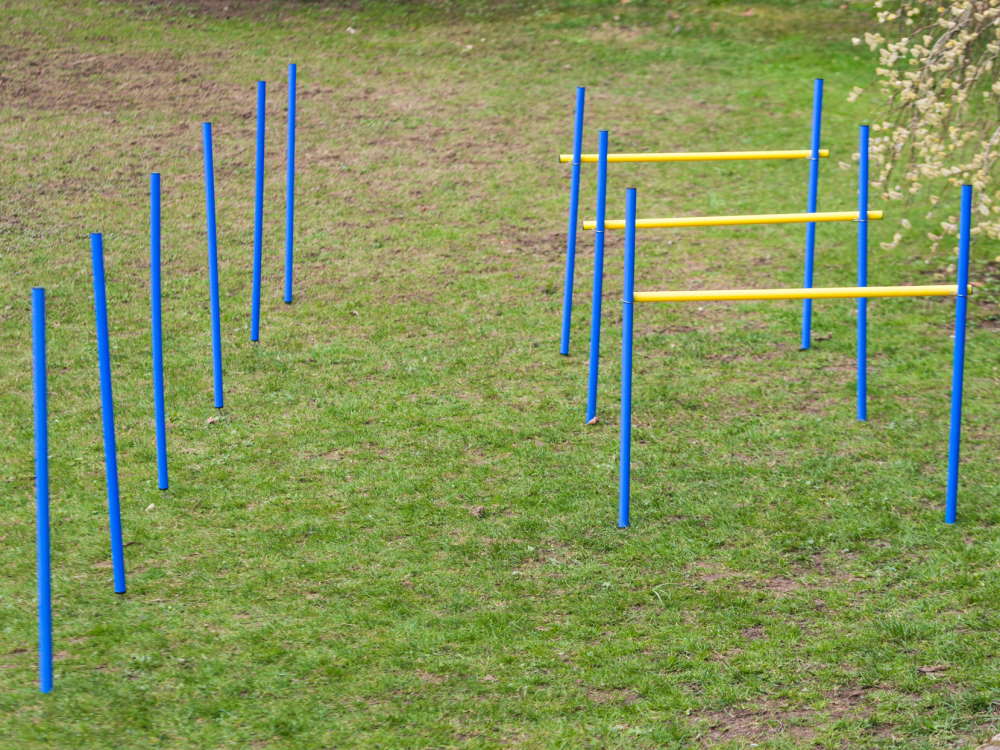 Dog Agility Trainings Set 2 Dog Agility Trainings Set 2