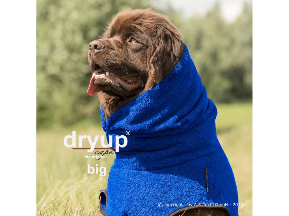 Dryup Cape Hundebademantel BIG blueberry 2XL (79 cm)