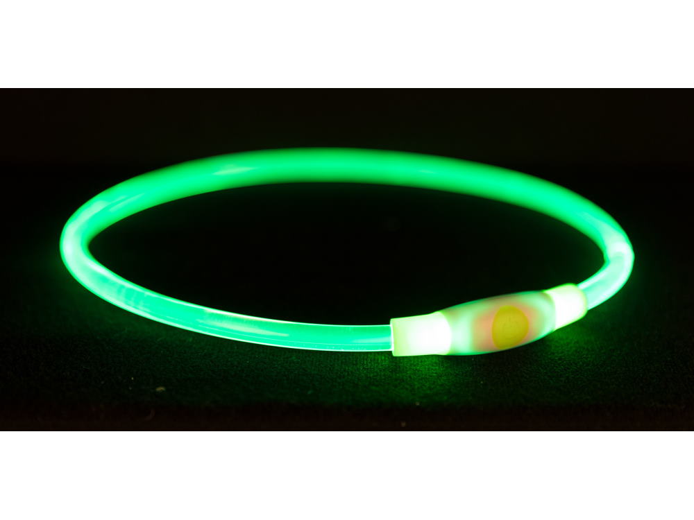 Flash Leuchtring USB für Hunde grün 40 cm