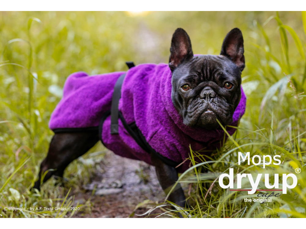 Dryup Cape Hundebademantel Mops bilberry 40 cm Dryup Cape Hundebademantel Mops bilberry 40 cm