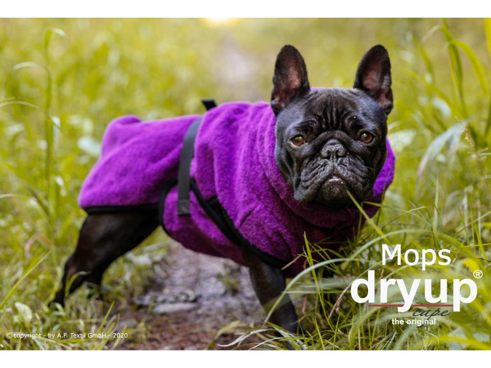 Dryup Cape Hundebademantel Mops bilberry 45 cm