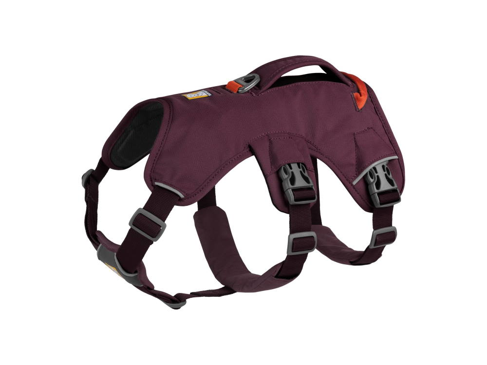Ruffwear Web Master™ Hundegeschirr Purple Rain S Ruffwear Web Master™ Hundegeschirr Purple Rain S