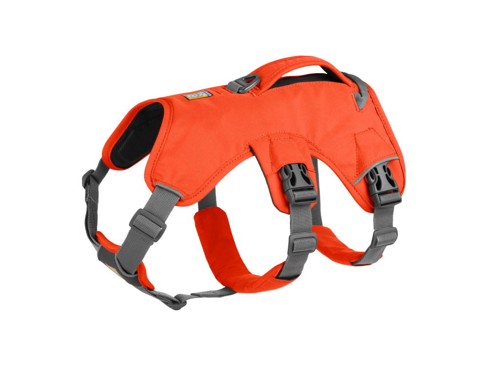 Ruffwear Web Master™ Hundegeschirr Blaze Orange XS Ruffwear Web Master™ Hundegeschirr Blaze Orange XS